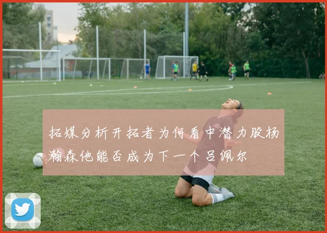 拓媒分析开拓者为何看中潜力股杨瀚森他能否成为下一个吕佩尔